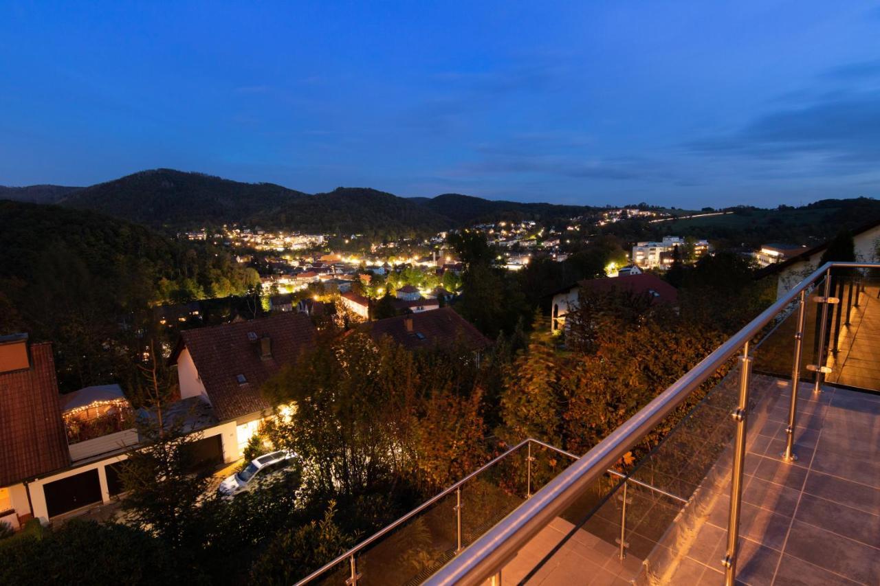 Harz Living - Mit Traumblick Apartment *