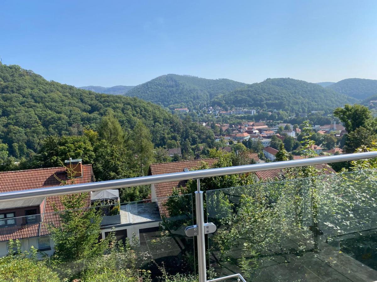 Harz Living - Mit Traumblick Apartment